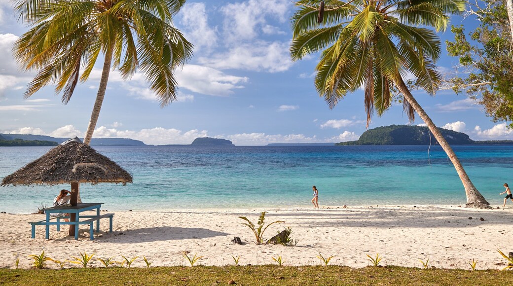 Espíritu Santo ofreciendo vistas de una costa, una playa de arena y escenas tropicales