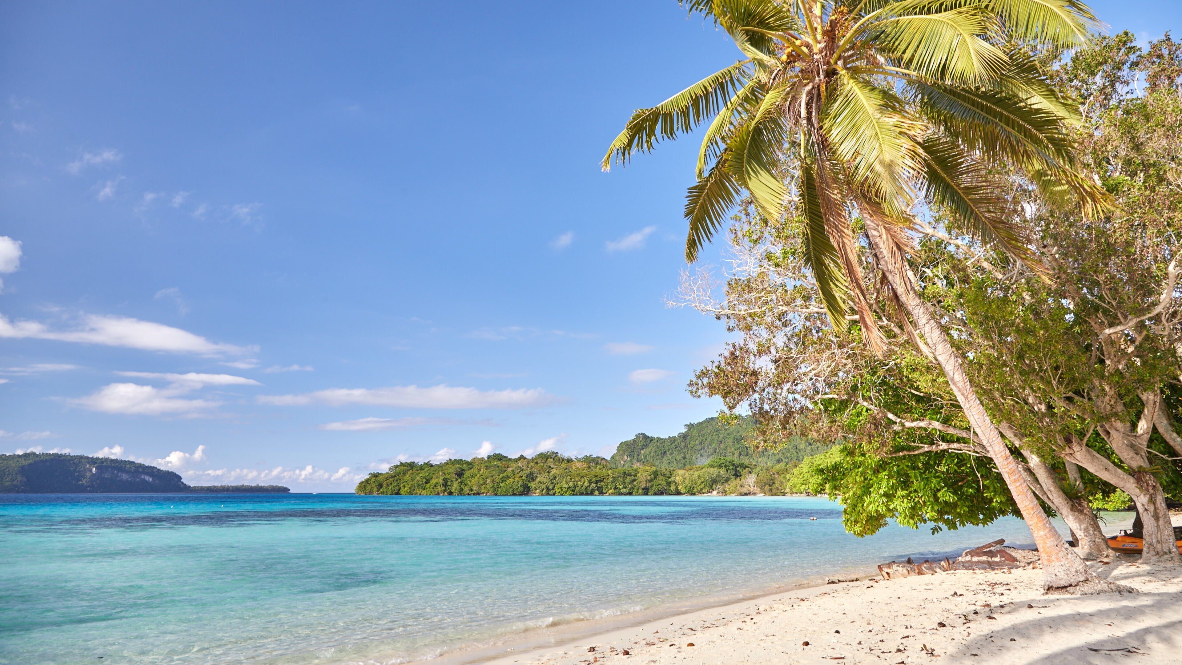 Lonnoc Beach featuring general coastal views, a sandy beach and tropical scenes
