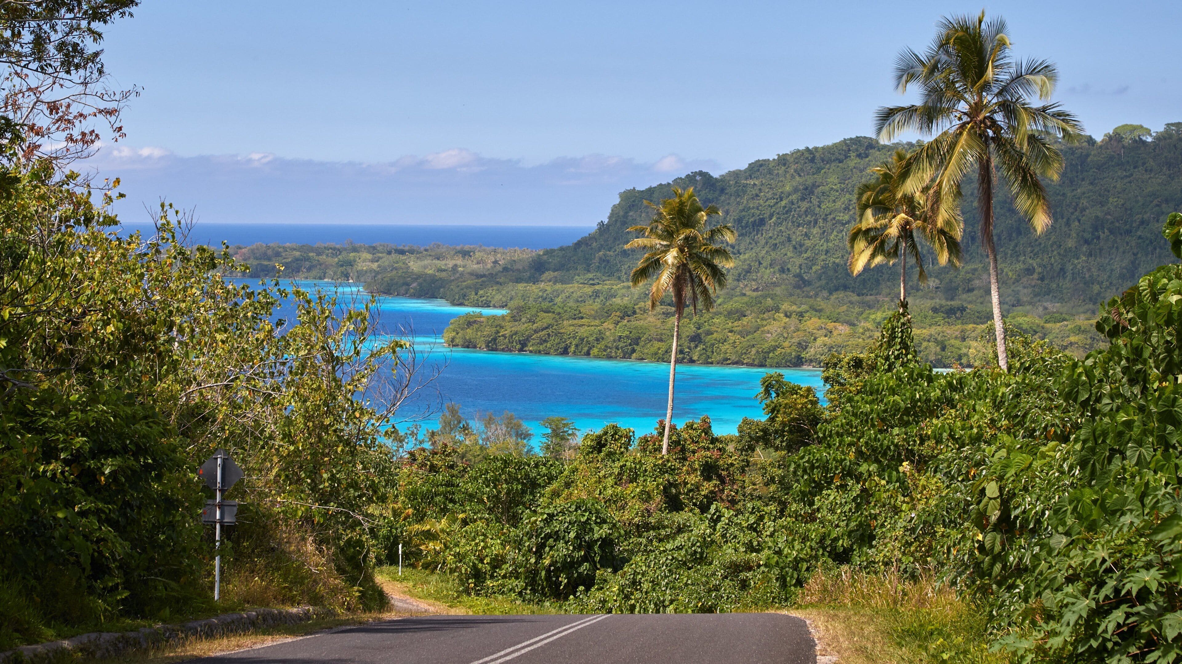 A coastal road with lush greenery and a view of turquoise waters.