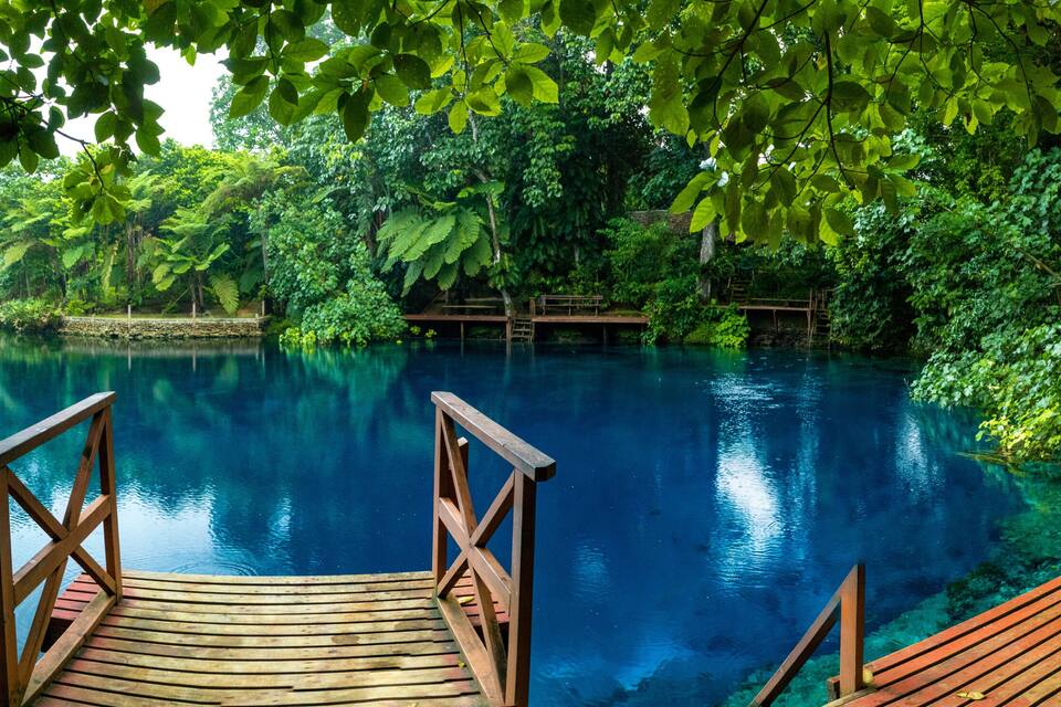 A wooden dock leading into a clear blue lake surrounded by lush greenery.