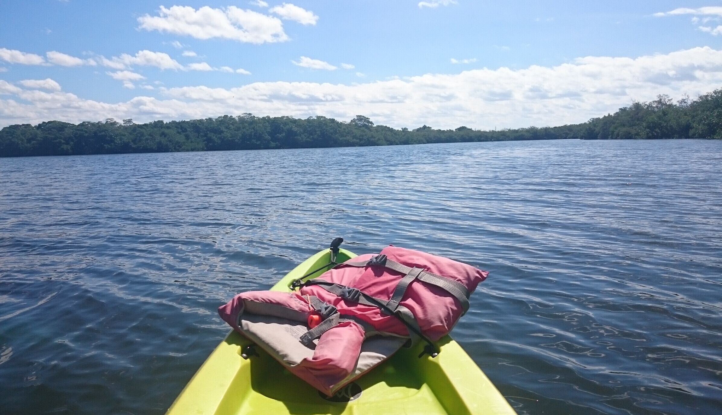 The Bradenton Beach, Longboat Key, Anna Maria Island area offers many great locations for kayaking or stand up paddleboarding. 

This is a shot of kayaking on Sarasota Bay near Leffis Key.

We rented our kayaks from a place called Kayak Jack's. They were great! You pick a drop-off location and specify a time and your kayaks will be awaiting you, ready for launch! 

http://www.kayak-jacks.com

“You choose the location, We bring the Fun!”  