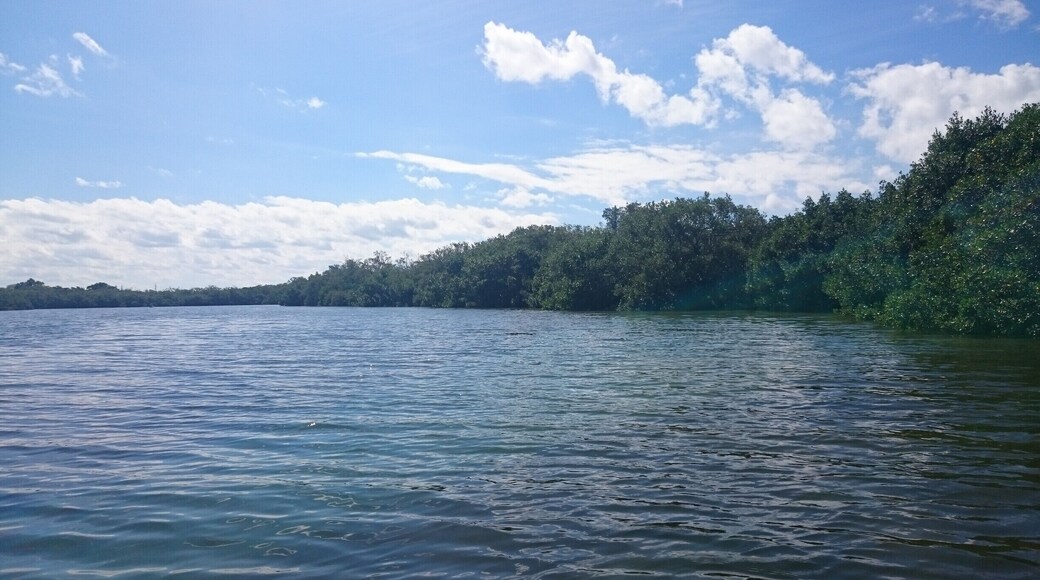 It was about this spot where a manatee popped its head up, right in front of my kayak and then proceeded to swim directly beneath my kayak in crystal clear shallow water.
I opted to just totally engage myself in the experience instead of trying to photograph it.
We rented our kayaks from a place called Kayak Jack's. They were great! You pick a drop-off location and specify a time and your kayaks will be awaiting you, ready for launch!
http://www.kayak-jacks.com
“You choose the location, We bring the Fun!”
