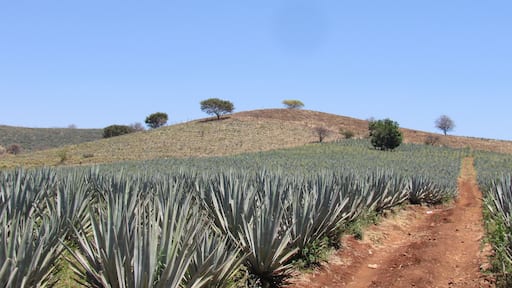 ์ํธ์ฌํ๋