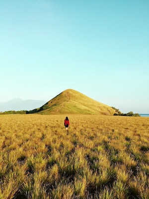 Kenawa island, very quiet island (no population) located at the western of Sumbawa island (between Lombok and Sumbawa), it has beautiful beach, white sand, colorful coral and fishes, savanna view.
