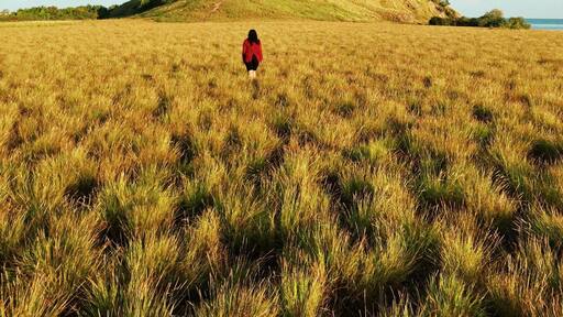 Kenawa island, very quiet island (no population) located at the western of Sumbawa island (between Lombok and Sumbawa), it has beautiful beach, white sand, colorful coral and fishes, savanna view.