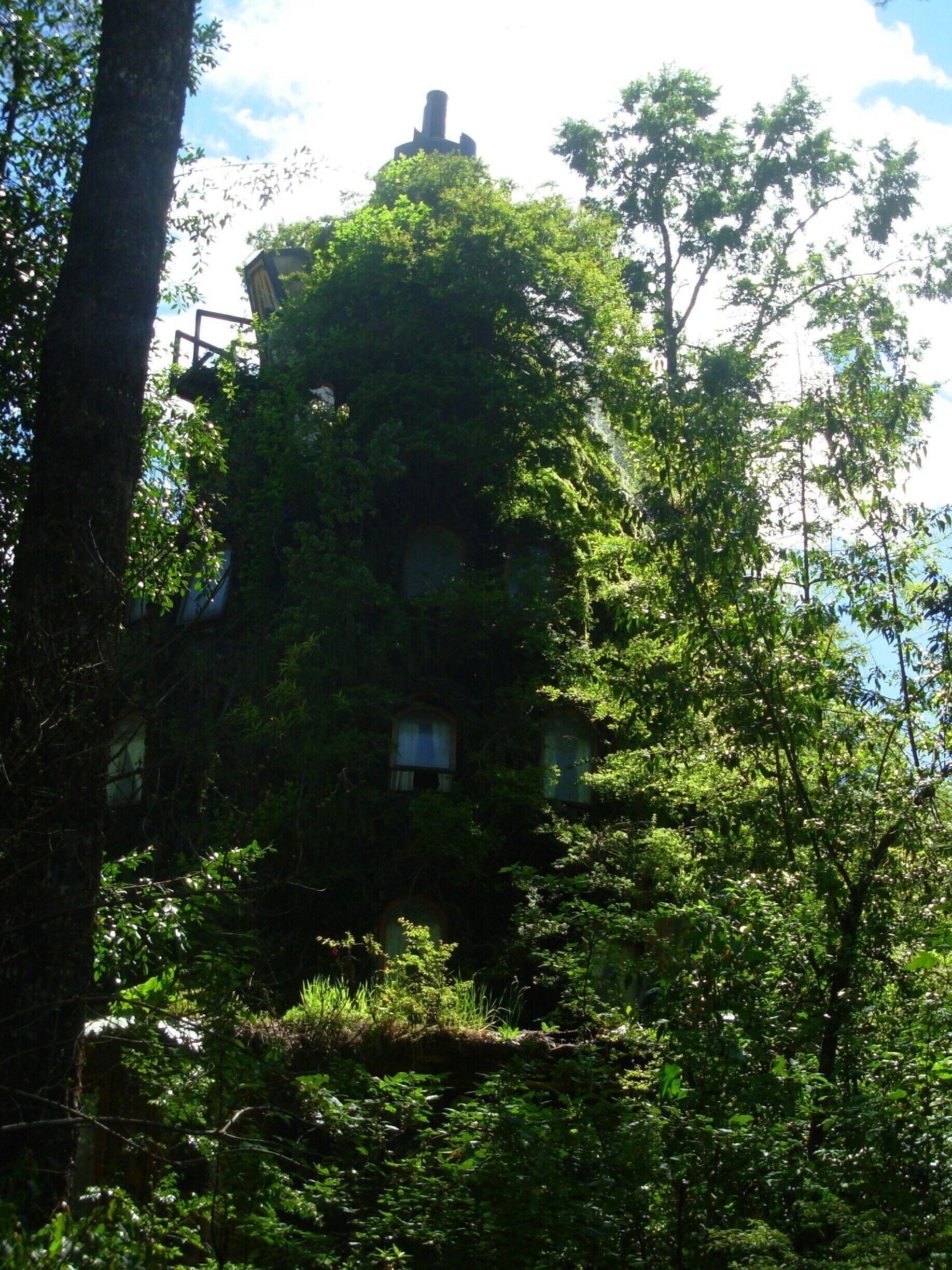 Hotel Montaña mágica en Huilo Huilo. Para los que le gusta la naturaleza: un fin de semana para descansar (no necesariamente en el hotel) y disfrutar todas las actividades que se realizan. Para repetirlo. 