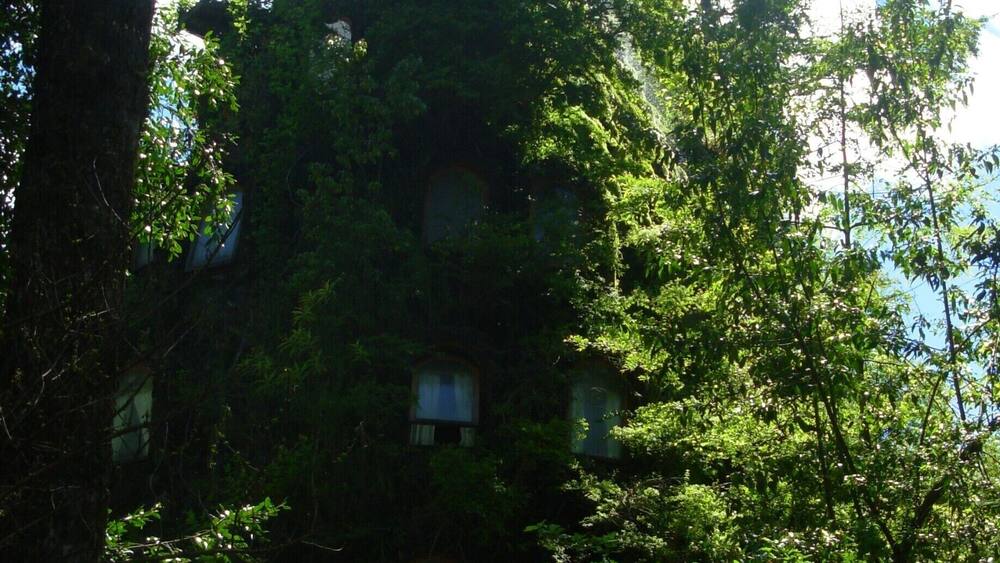 Hotel Montaña mågica en Huilo Huilo. Para los que le gusta la naturaleza: un fin de semana para descansar (no necesariamente en el hotel) y disfrutar todas las actividades que se realizan. Para repetirlo.