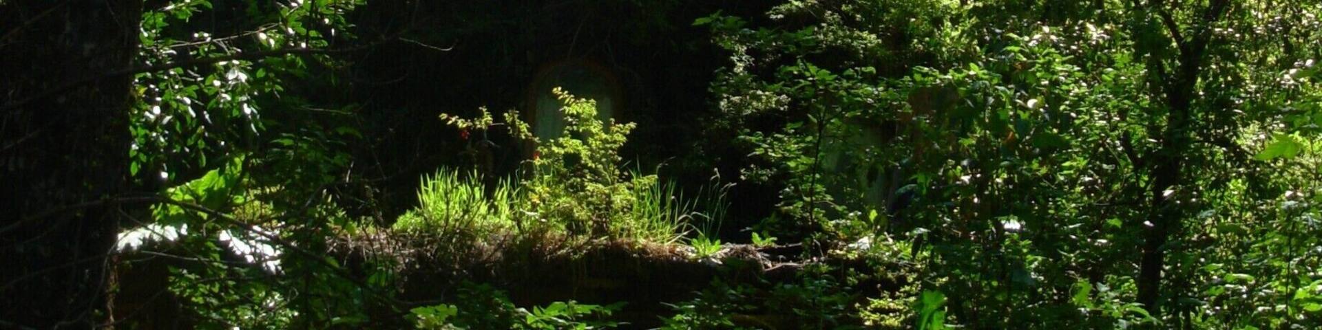 Hotel Montaña mágica en Huilo Huilo. Para los que le gusta la naturaleza: un fin de semana para descansar (no necesariamente en el hotel) y disfrutar todas las actividades que se realizan. Para repetirlo.