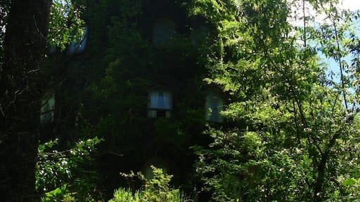 Hotel Montaña mágica en Huilo Huilo. Para los que le gusta la naturaleza: un fin de semana para descansar (no necesariamente en el hotel) y disfrutar todas las actividades que se realizan. Para repetirlo.