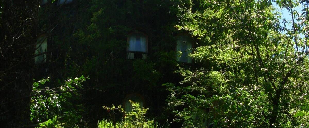 A treehouse surrounded by dense forest.