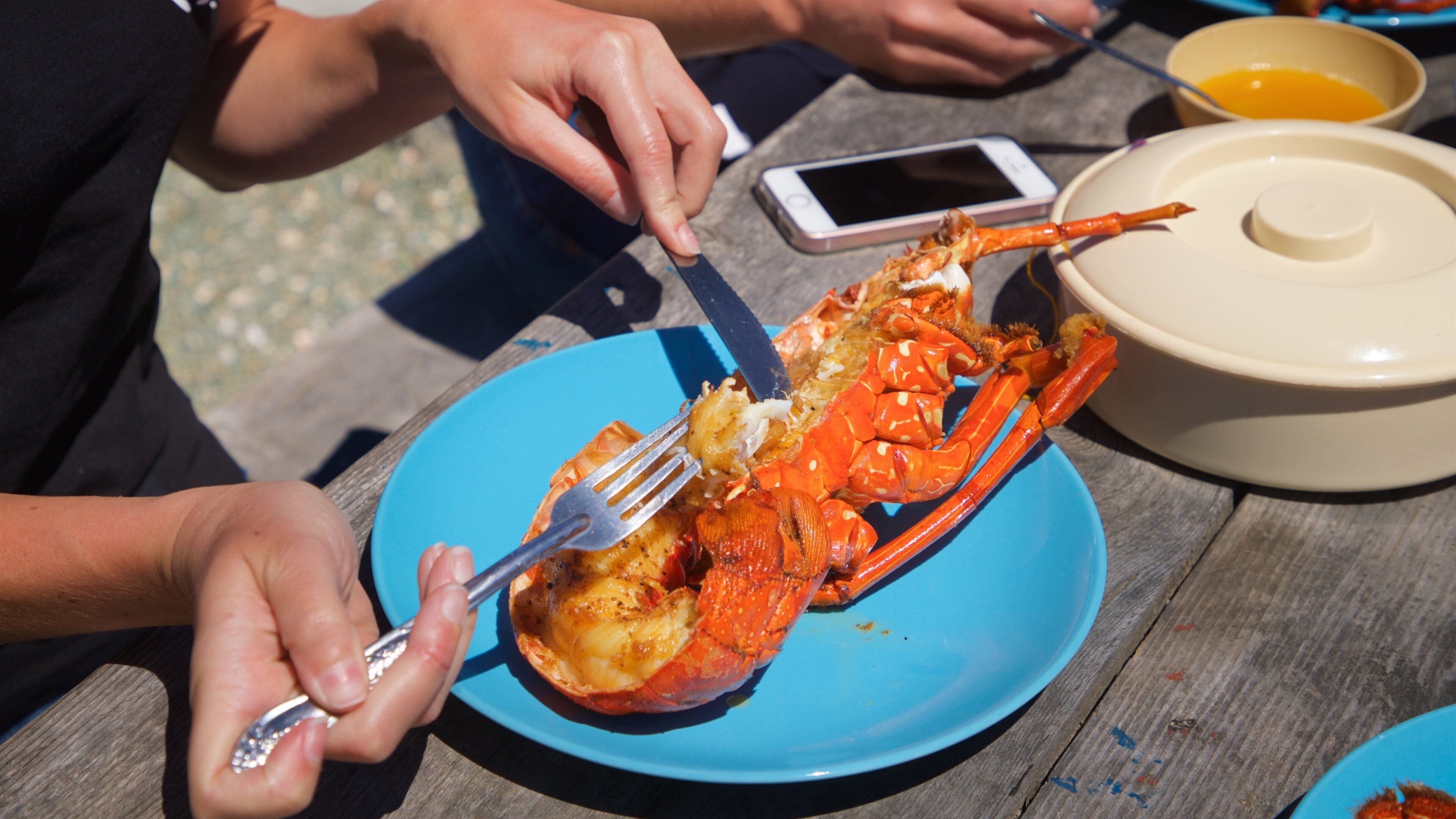 Puerto San Carlos which includes food