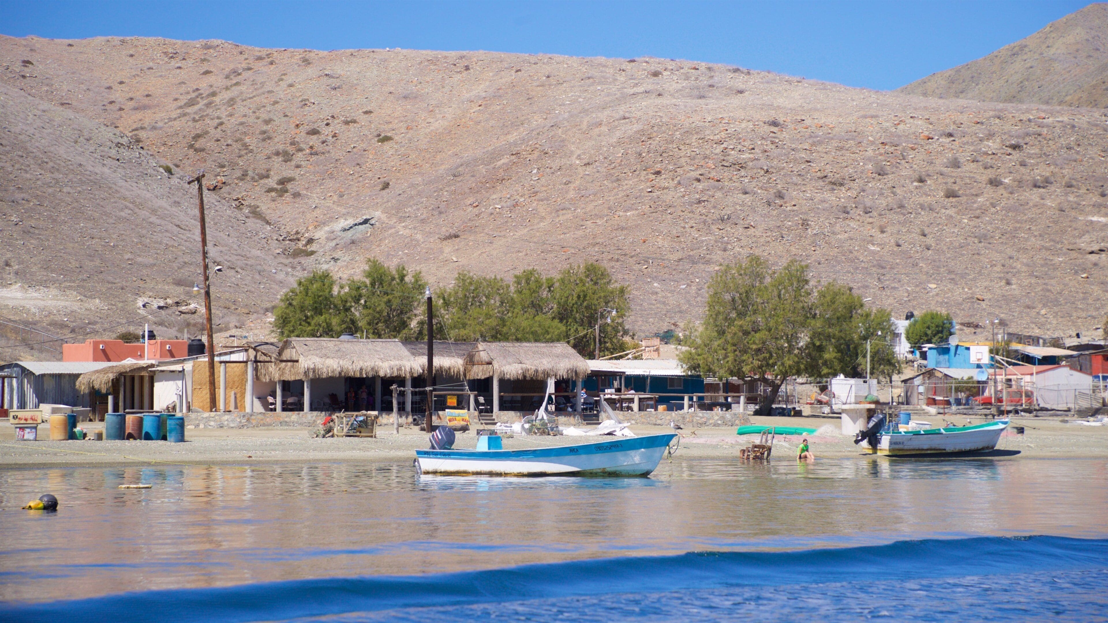 Puerto San Carlos showing general coastal views and a coastal town
