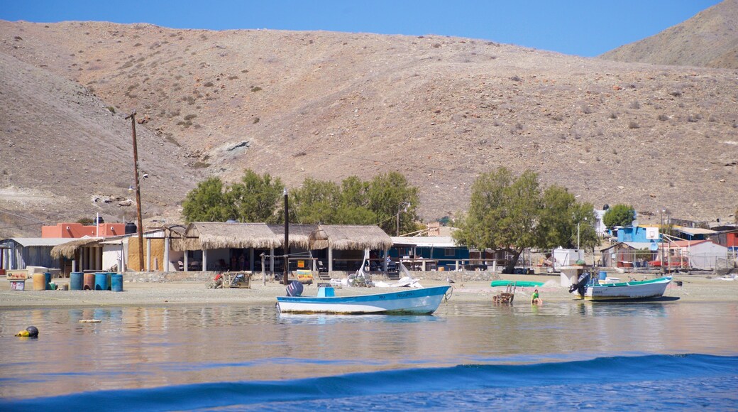 Puerto San Carlos showing general coastal views and a coastal town