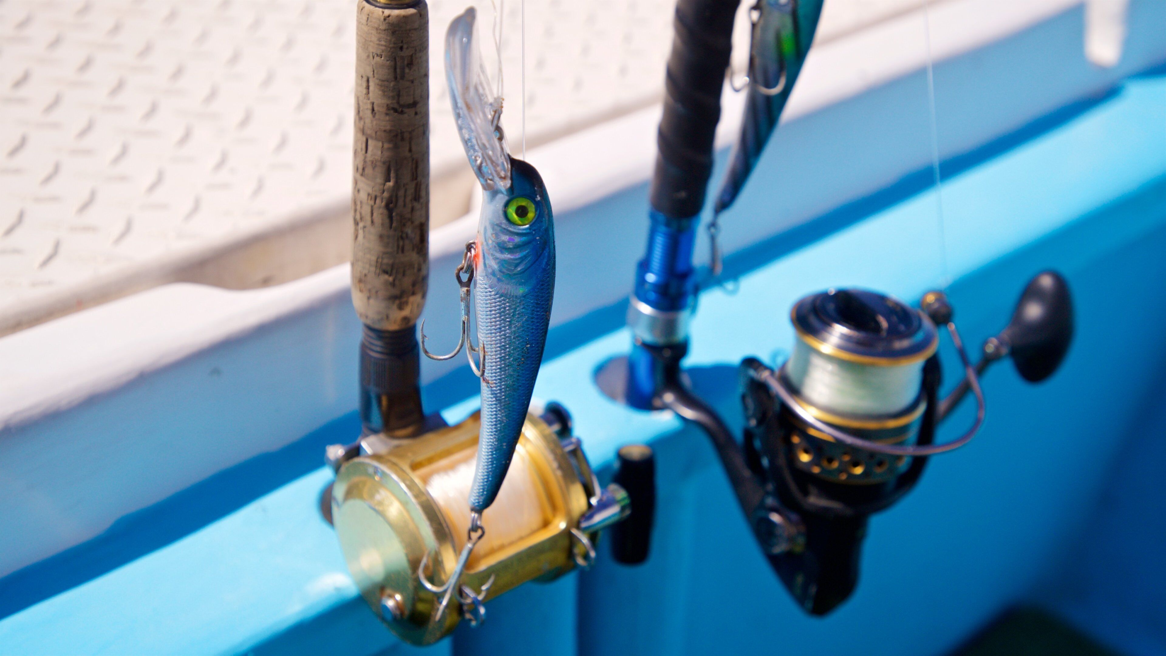 Puerto San Carlos which includes fishing