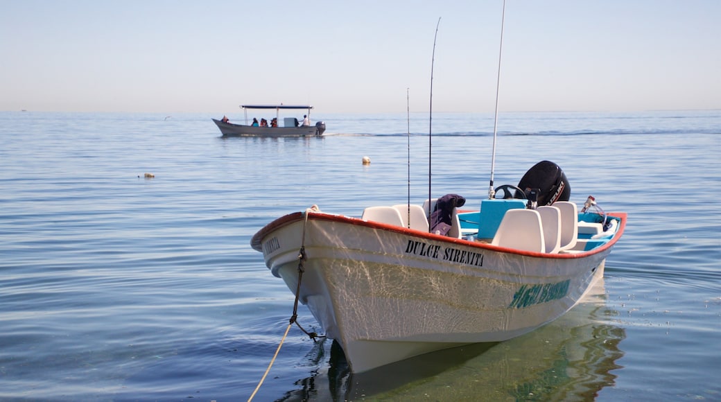 Puerto San Carlos showing general coastal views