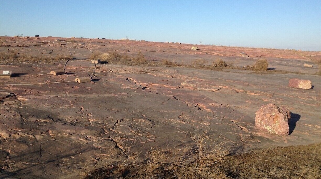 This enormous slab of red tinted rock contains Native American drawings that date back hundreds to thousands of years. The path allows visitors to walk onto this sacred rock and glimpse history first hand, incredible experience! #TroverDetour
#localgem
