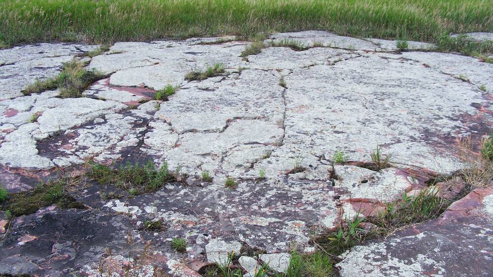 A large, cracked concrete surface with patches of grass and moss growing through the cracks.