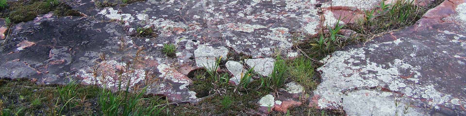 Was beautiful country and an interesting story in the rocks.