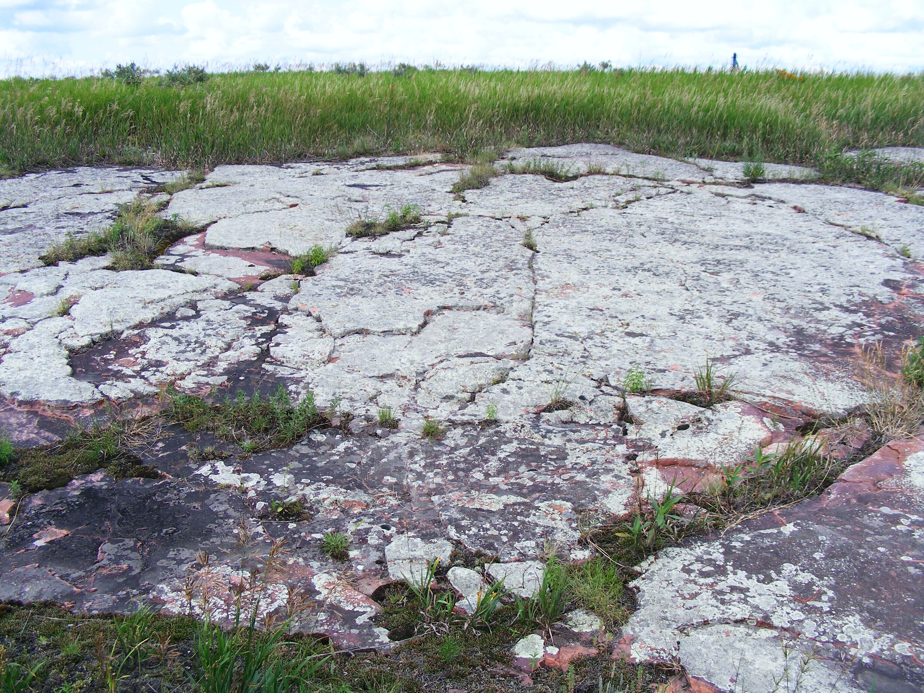 A large, cracked concrete surface with patches of grass and moss growing through the cracks.