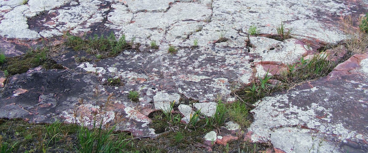 A large, cracked concrete surface with patches of grass and moss growing through the cracks.