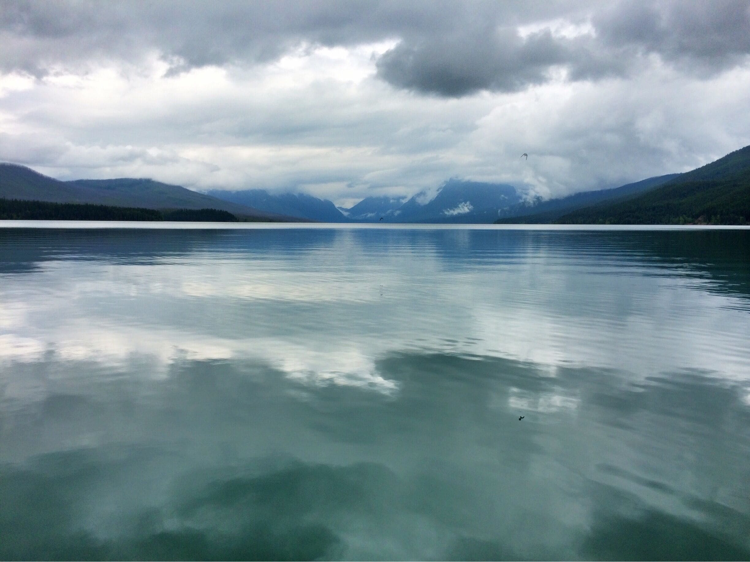 A grey afternoon on Lake McDonald in Glacier National Park, Montana. The weather wasn't the greatest that day, and most of the Going-to-the-Sun Road was still closed (it was early June), but I still couldn't get over Glacier's stunning natural beauty. 

#nationalpark