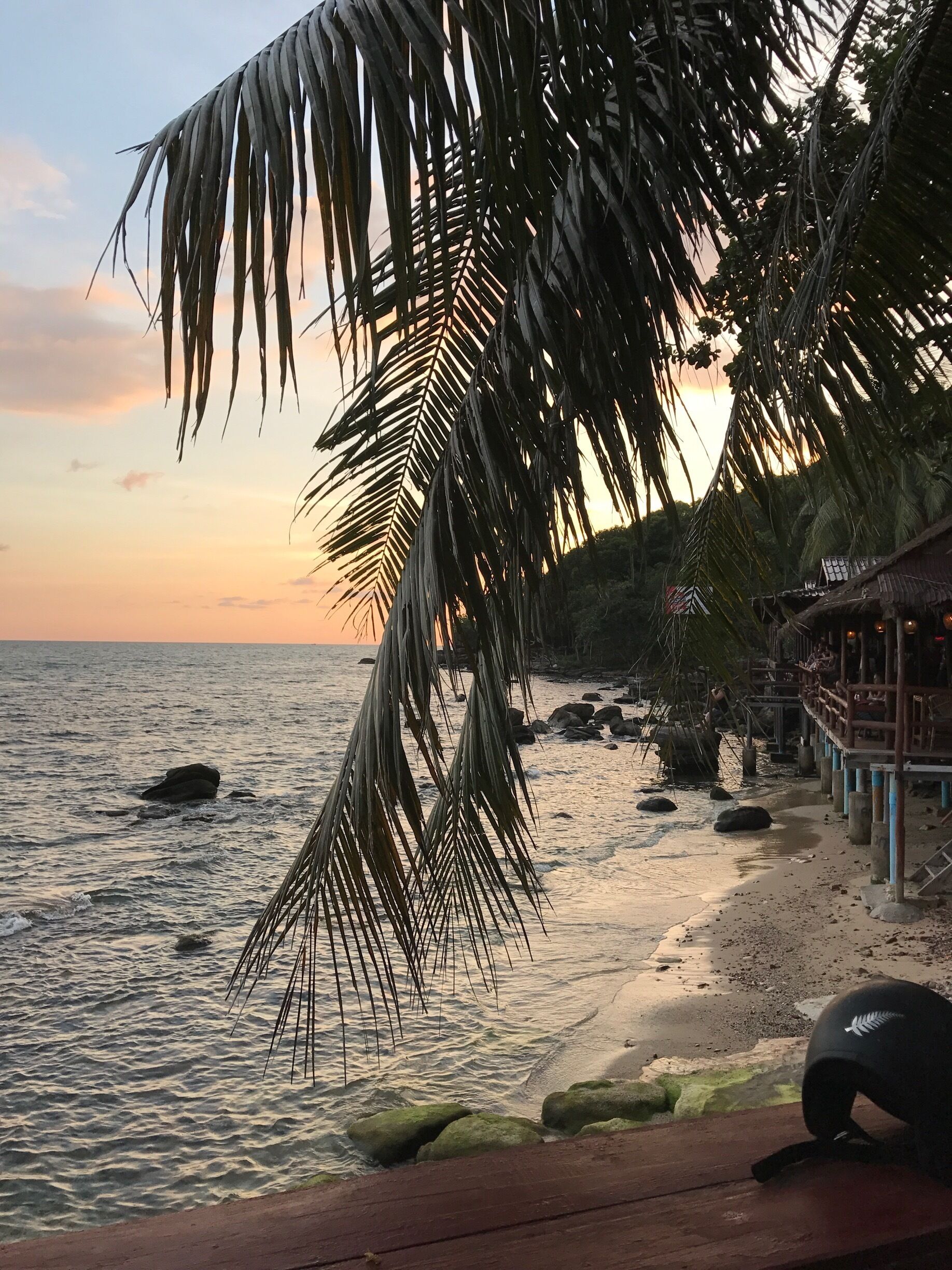Una playa con palmeras, rocas y una estructura de madera cerca del agua.