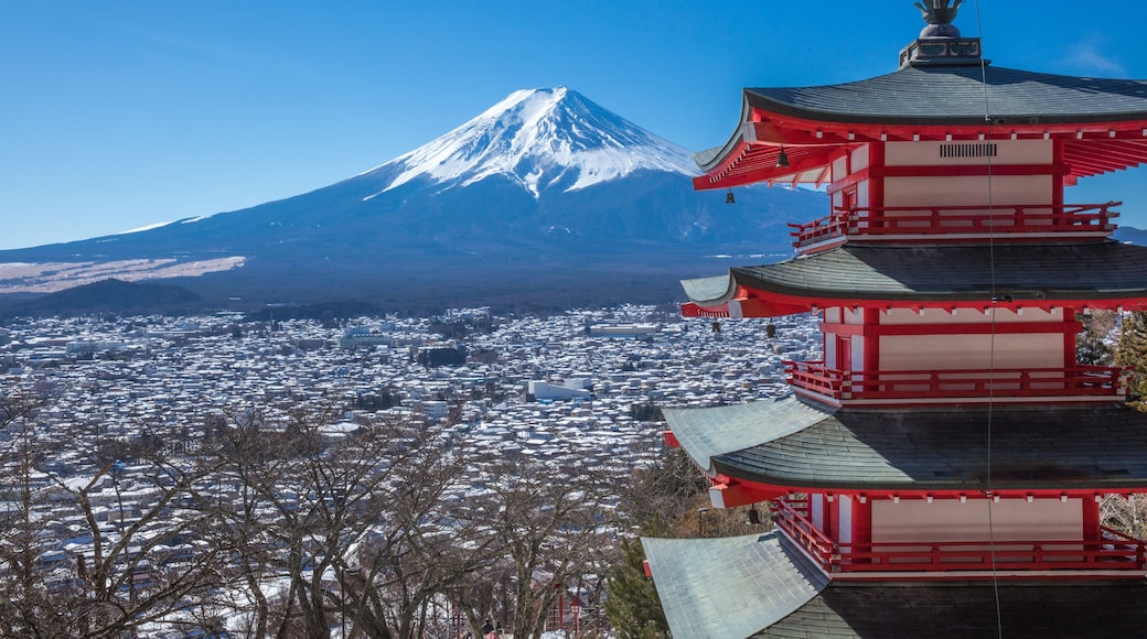 新倉山浅間公園から見た富士山