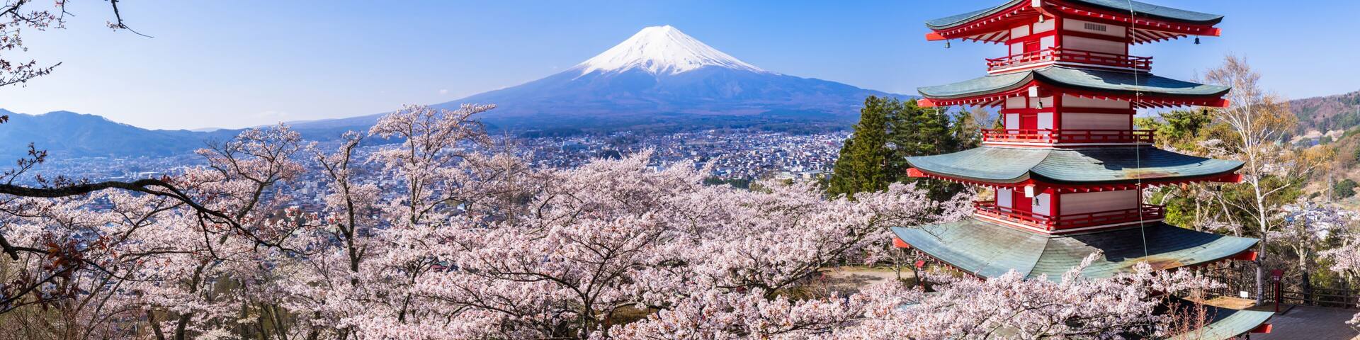 A cherry blossom tree, a pagoda, and Mount Fuji in the background.