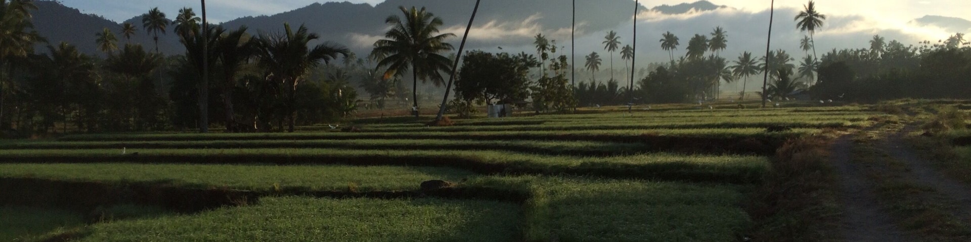This is Kotamobagu, It's in the Bolaang Mongondow Regency in North Sulawesi. "Bolaang" is taken from the word "Balangon" which means the sea, and "Mongondow" is taken from the word "Momondow" which means cry of victory.
it's situated in a valley surrounded by mountains, one of them is an active complex volcano. This paddy field is right behind my grandmother's house. #hiking