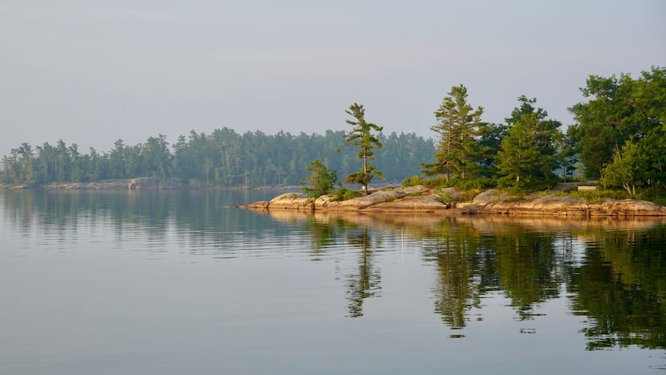 A calm lake with a rocky shoreline and dense forest in the background.