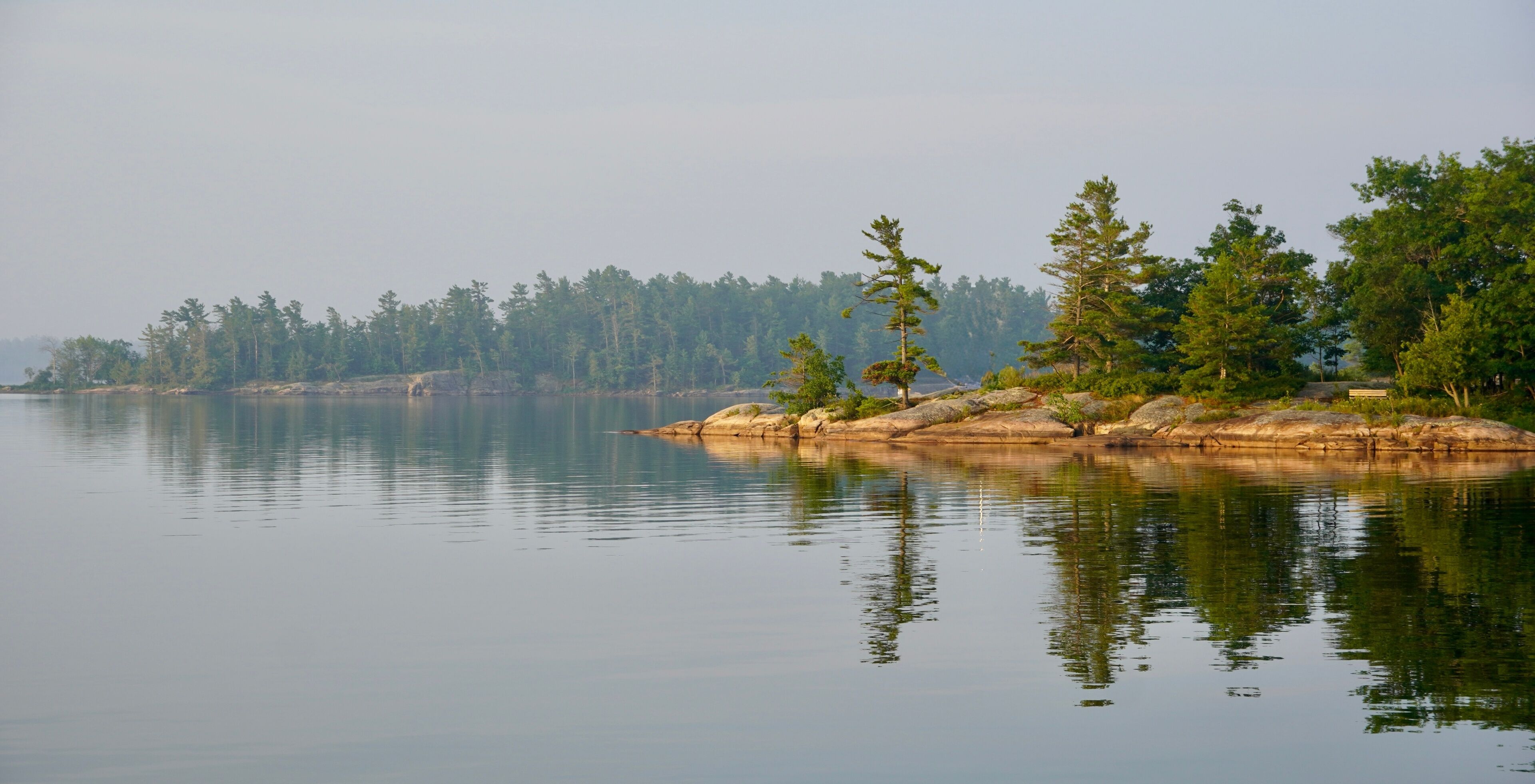 A calm lake with a rocky shoreline and dense forest in the background.