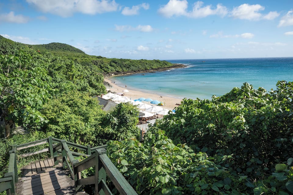 A coastal landscape with a beach, lush greenery, and a wooden staircase leading down to the shore.
