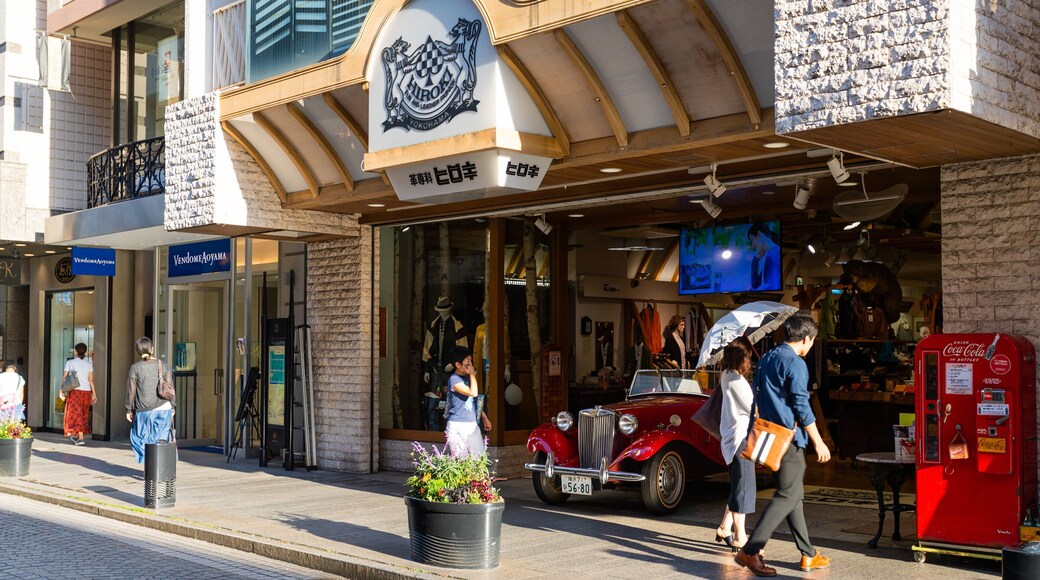 Motomachi Shopping Street which includes street scenes and signage