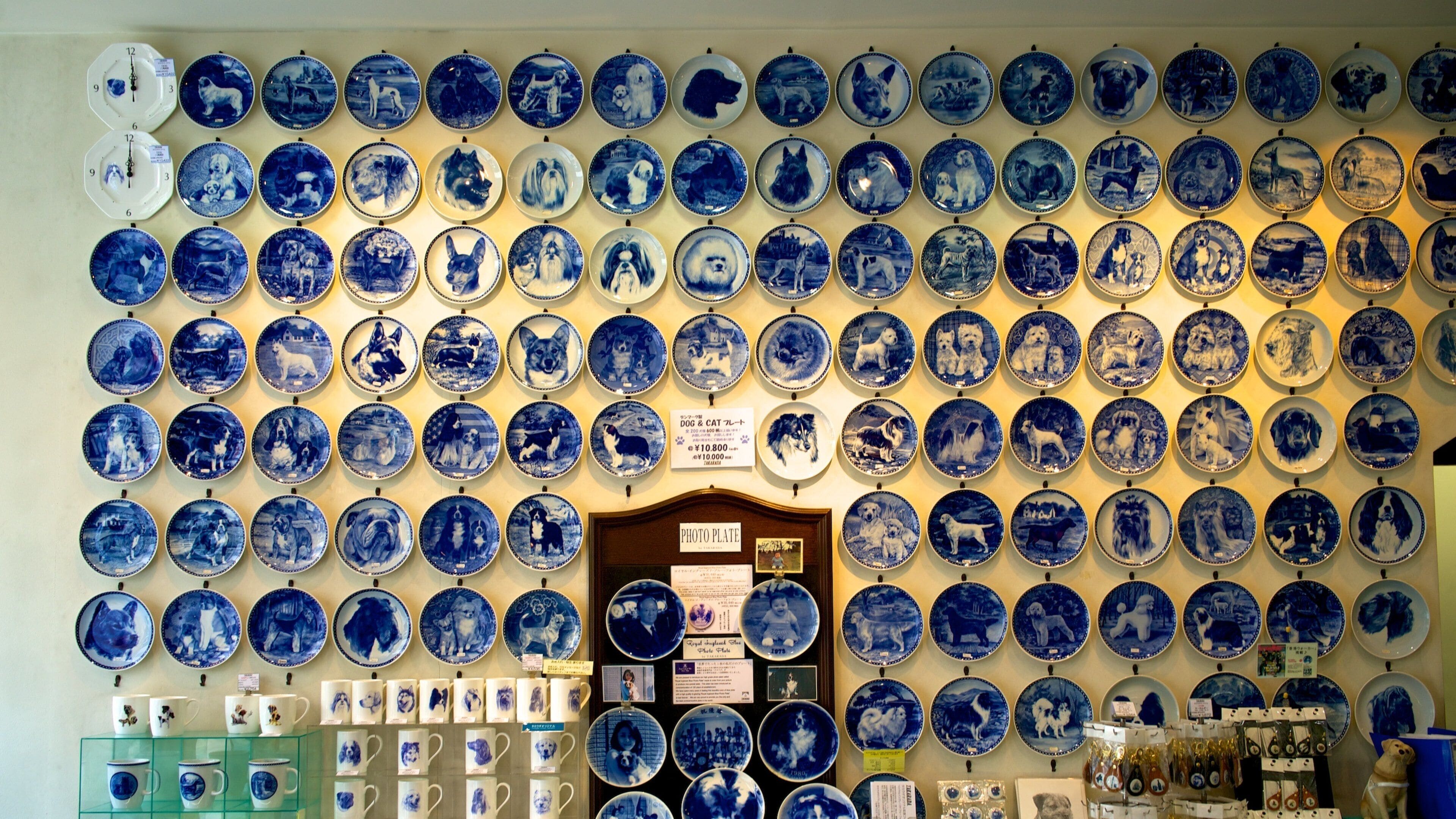 Yokohama featuring shopping and interior views