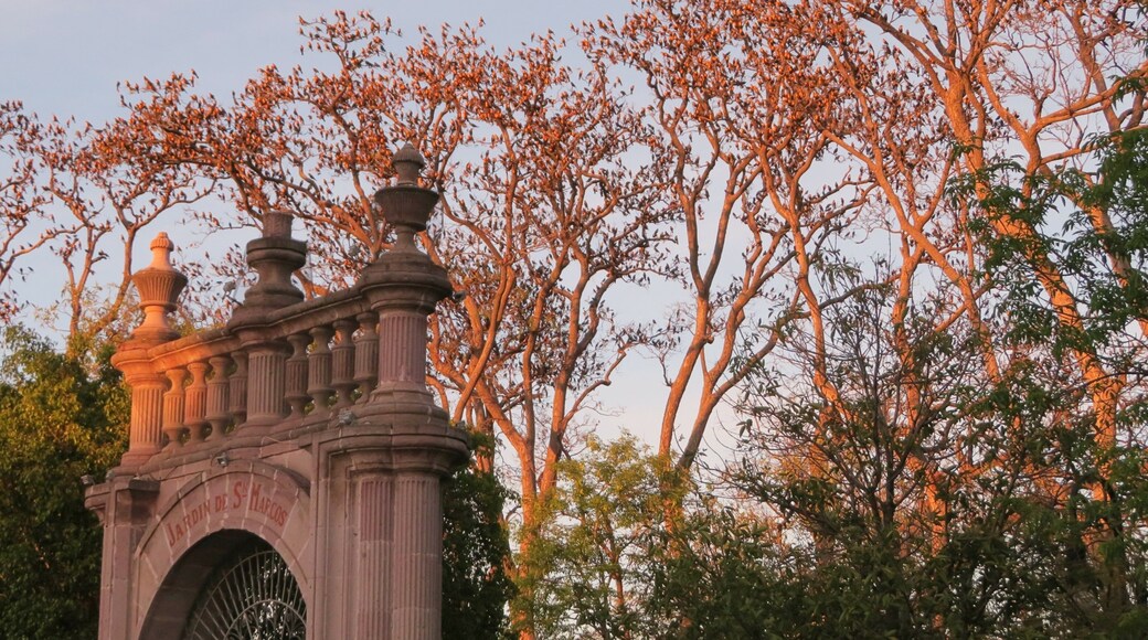 포리스트 오브 더 시티