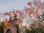 evening in the park of San Marcos, Aguascalientes, Mexico