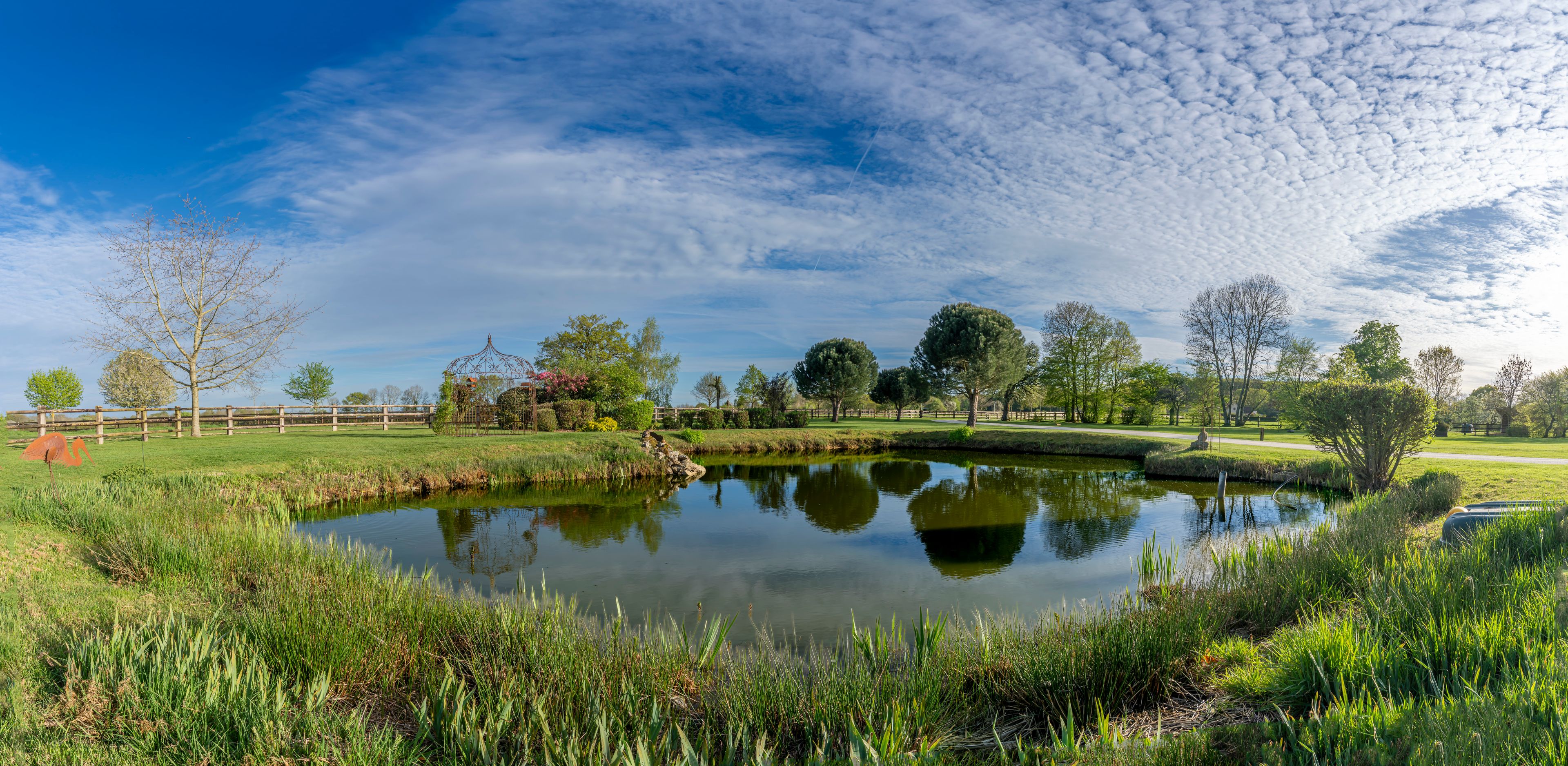 A serene park with a pond, trees, and a wooden fence.
