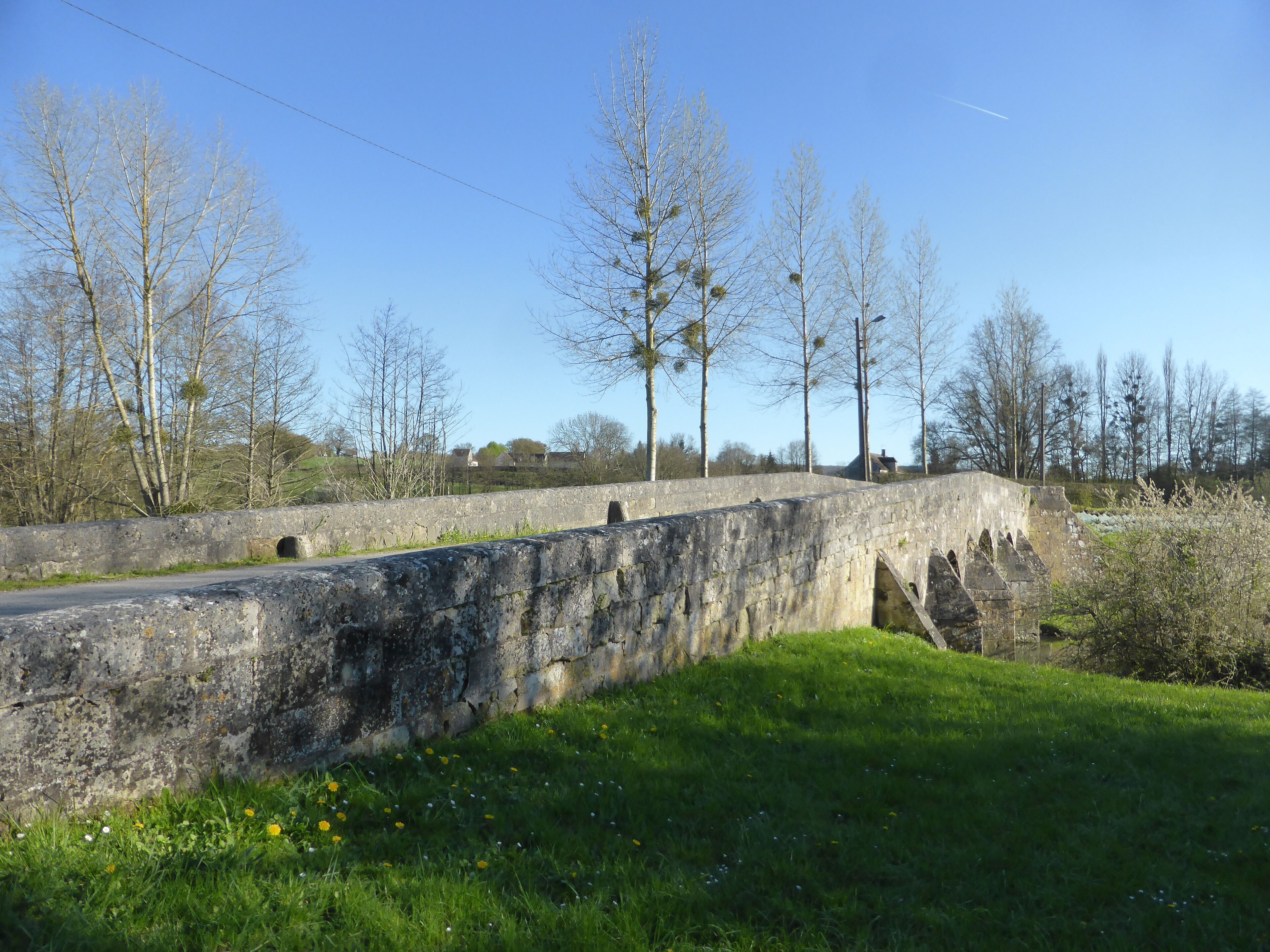 A stone bridge with arches, surrounded by trees and grass.