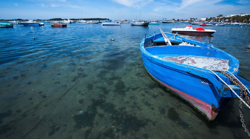 Zona protegida del puerto deportivo de Porto Cesareo