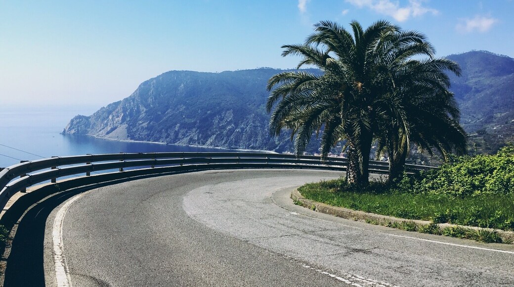 Road with seaview