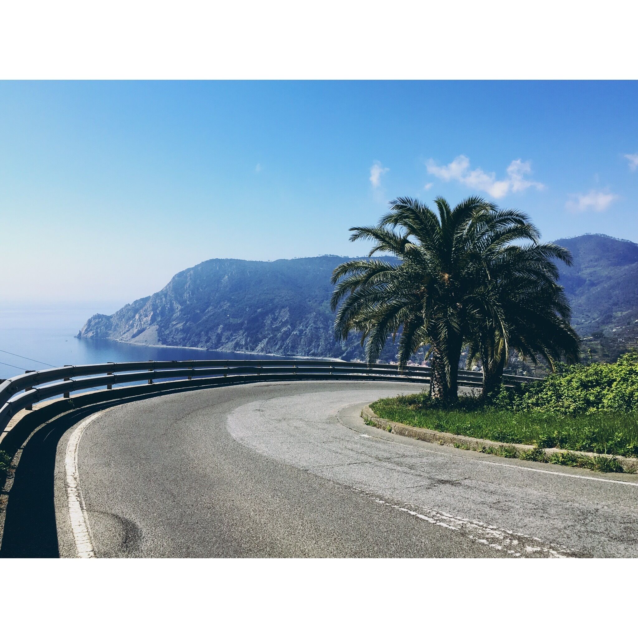 A winding coastal road with a palm tree and mountains in the background.