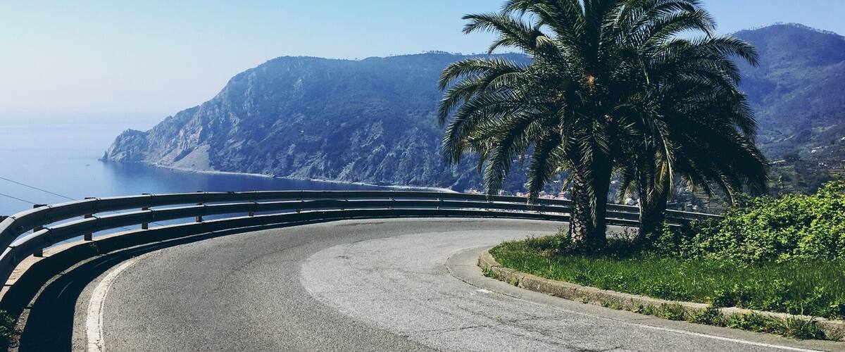 A winding coastal road with a palm tree and mountains in the background.