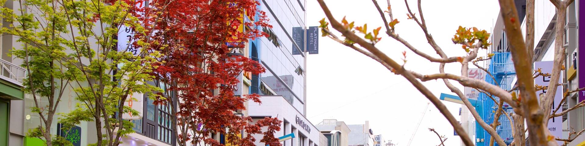 Una concurrida calle urbana bordeada de tiendas y restaurantes, incluyendo una tienda TonyMoly y una tienda Missha de cosméticos.