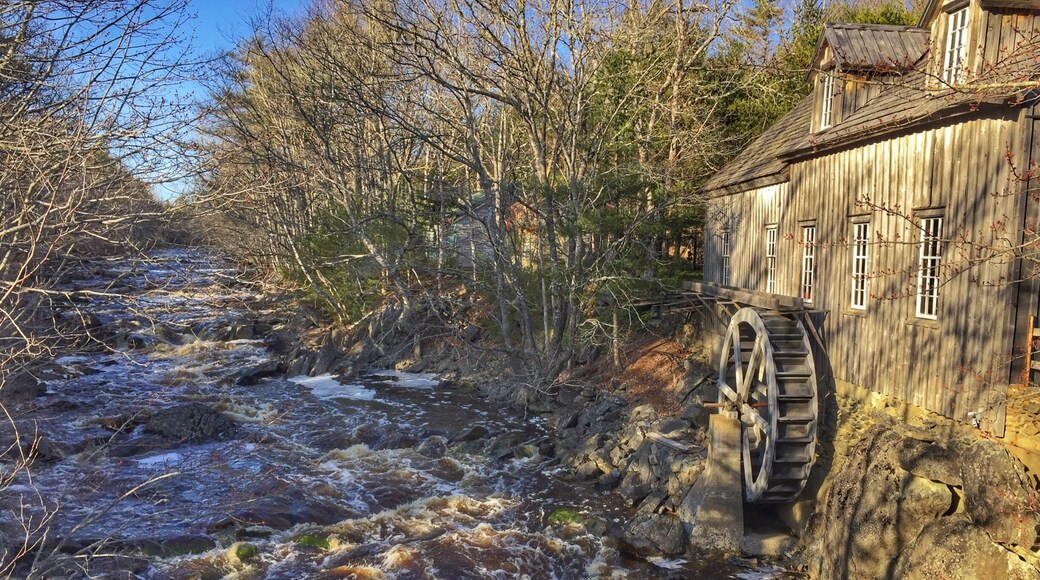 Picturesque stop along the lighthouse route of the South Shore. Tourist season hasn't started yet; not sure if the mill opens/operates for that or not.