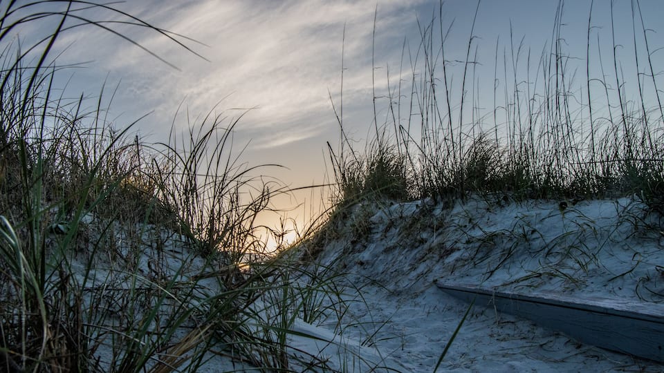 Sand dune at Butler Beach, St Augustine