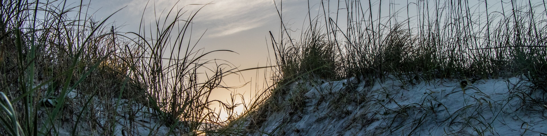 Sand dune at Butler Beach, St Augustine