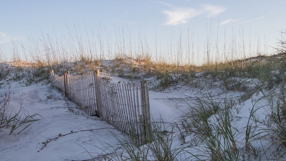 Sand dune at Butler Beach, St Augustine