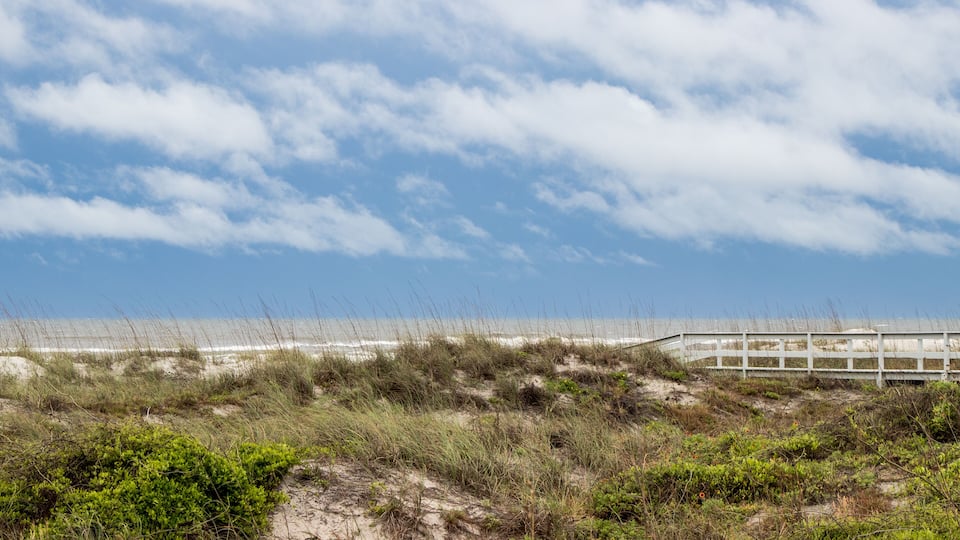 Sand dune at Butler Beach, St Augustine