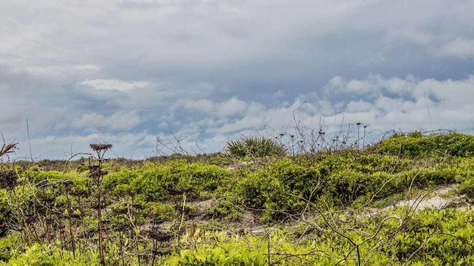 Sand dune at Butler Beach, St Augustine