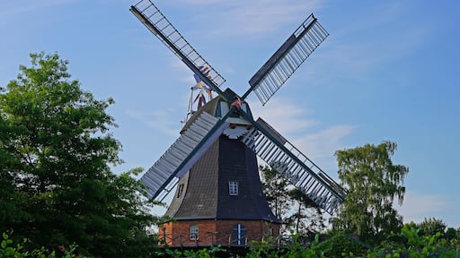 Stadland